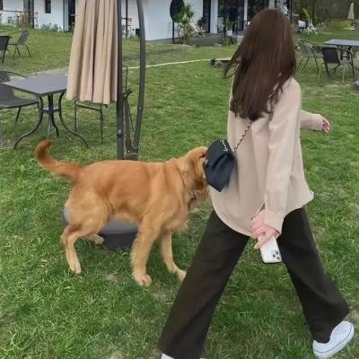 薄樱鬼第三季
